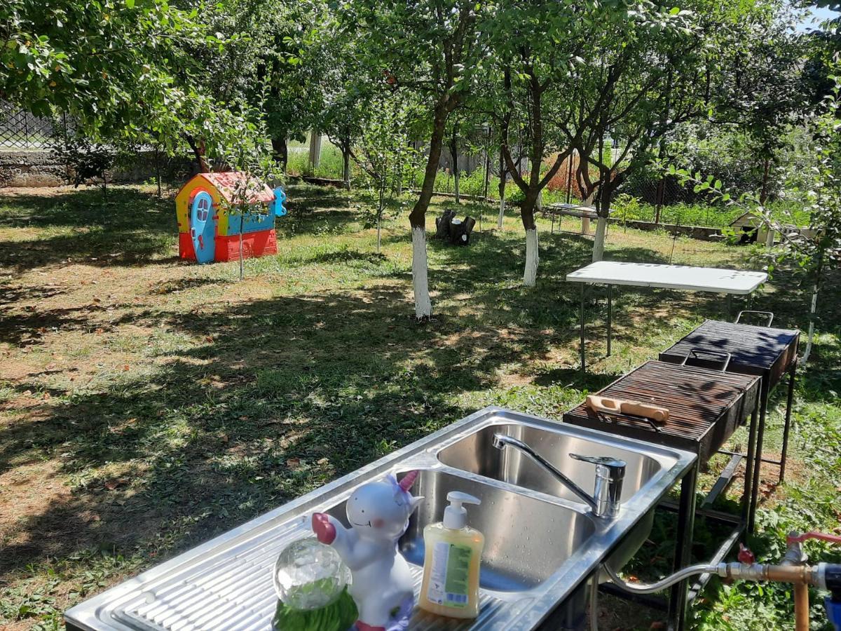 فندق Casa Gia Călimăneşti المظهر الخارجي الصورة